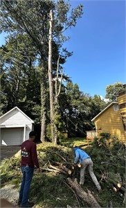 Georgia's Reye's Tree Service Grows by 50% with Exclusive Leads from Tree Leads Today